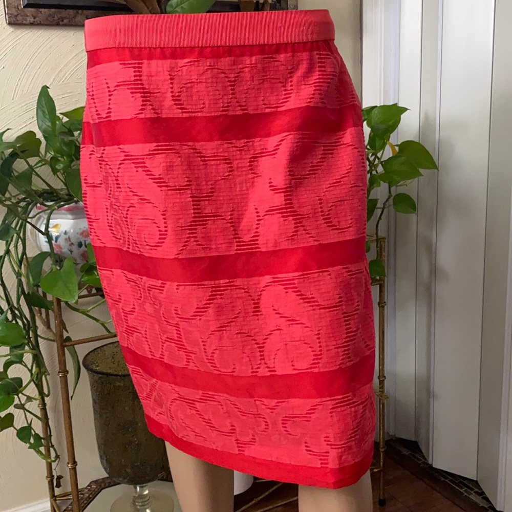 Ann Taylor Skirt (BR2C)